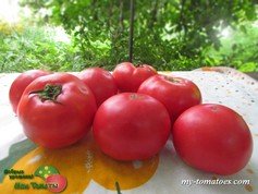 РОЗОВЫЙ РАССВЕТ