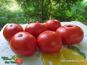 SUPER CHOICE (ЛУЧШИЙ ВЫБОР)