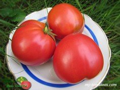 СУПЕРКЛУША