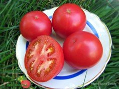 TIBET APPLE (ТИБЕТСКОЕ ЯБЛОКО)